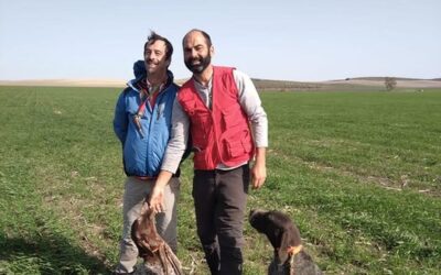 Andalucía 2022. Grandísimo resultado de Dwisper de Ebea.